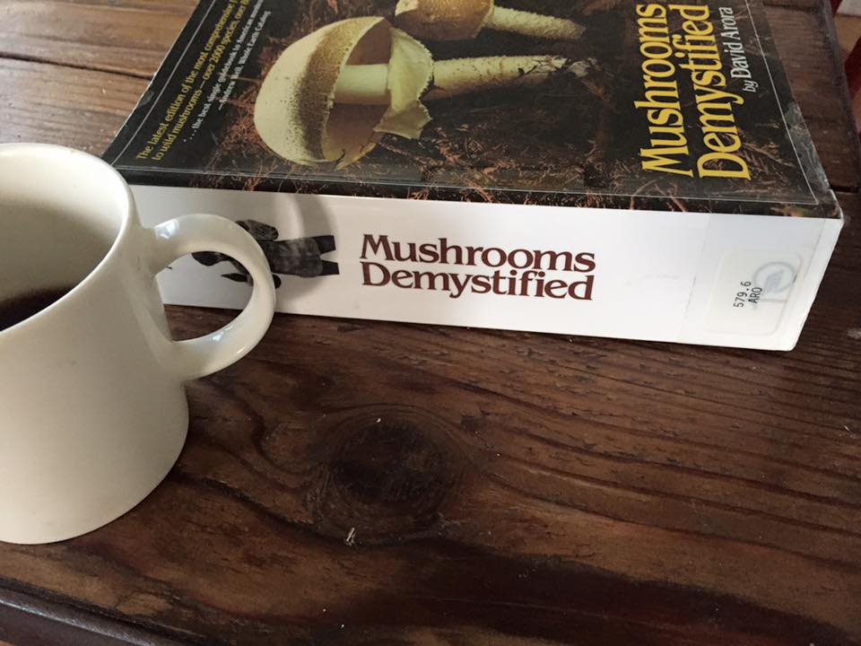 mushroomsdemyst